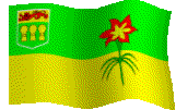 Flag of Saskatchewan