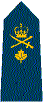 Brigadier General