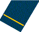 Officer Cadet