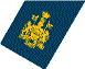 Chief Warrant Officer