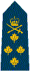General
