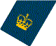 Warrant Officer