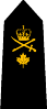 Commodore