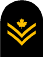 Master Seaman