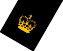 Petty Officer 1st Class