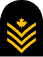 Petty Officer 2nd Class