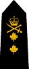 Rear Admiral